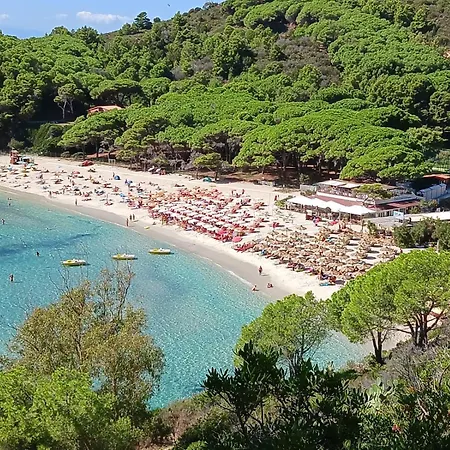 Vacanze Maestrale Fetovaia